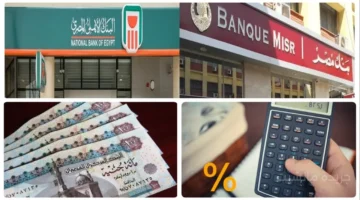 القرار النهائي.. البنك المركزي يحسم رسوم السحب والاستعلام من ماكينات ATM وانستاباي 1